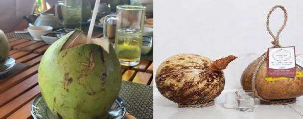 Nguồn Nhóm nghiên cứu nông dân làm du lịch ở Bến Tre năm 2020 Nguồn Nhóm 2