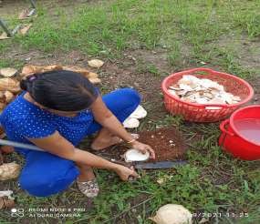 Nguồn Nghiên cứu sinh chụp năm 2020 Nguồn Nghiên cứu sinh chụp năm 2020 Ảnh 3 3