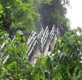 Hình 4 7 Động Trung Trang Nguồn ảnh Nghiên cứu sinh 2020 Tuyến Trung tâm VQG 6