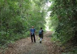 Hình 4 8 Vườn thực vật Hì nh 4 9 Tuyến quan sát chim thú Nguồn ảnh 8