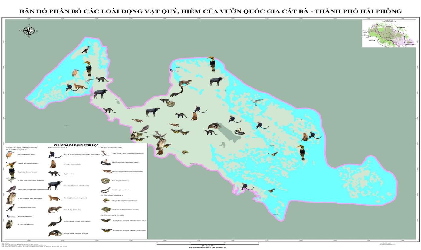 Hình 4 28 Bản đồ phân bố các loài động vật quý hiếm của VQG Cát Bà 1