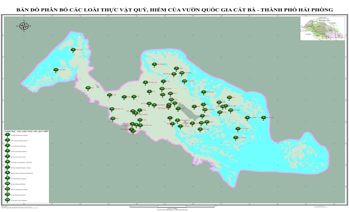 Hình 4 29 Bản đồ phân bố các loài thực vật quý hiếm của VQG Cát Bà 2