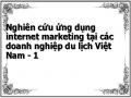 Nghiên cứu ứng dụng internet marketing tại các doanh nghiệp du lịch Việt Nam - 1