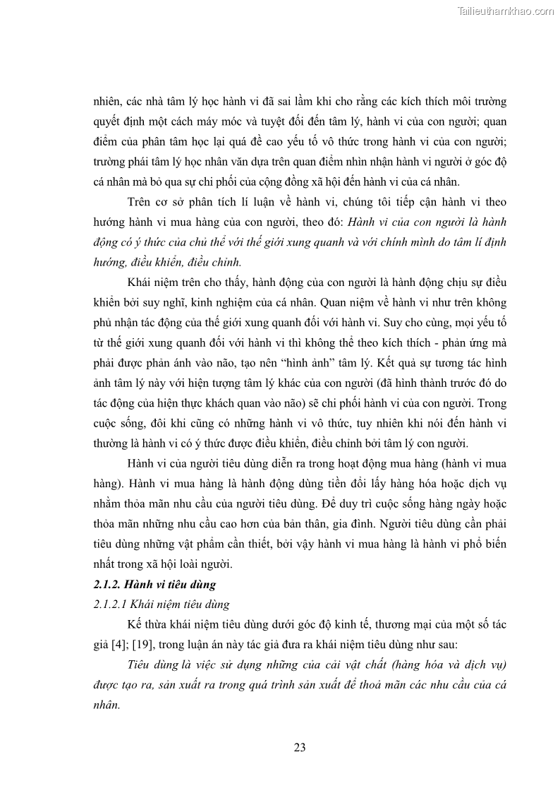Luận án tiến sĩ tâm lý học Hành vi tiêu dùng của khách du lịch trong nước - 3 Trang 30
