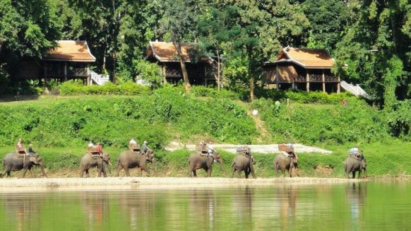 Ảnh 4 Công viên voi Luang Prabang nằm gần sông Nậm Khan Ảnh exotravel com Ảnh 5 4