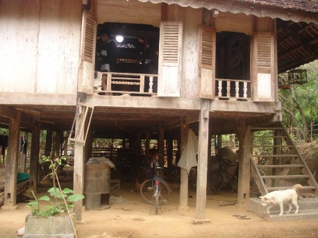 Một nhà sàn ở bản Nhót vệ sinh kém nuôi gia súc dưới sàn nhà Một góc sàn 2