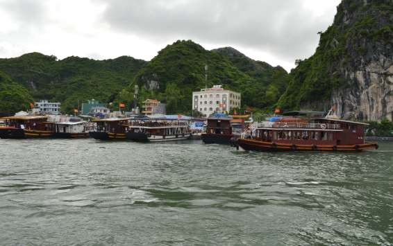 Hình 1 4 Du thuyền trên đảo Cát Bà Nguồn Tác giả Đào Văn Vinh chụp tháng 4