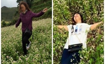 Hoa Tam giác mạch bị khách du lịch giẫm nát Xả rác tại cánh đồng hoa 2
