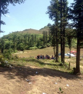 Xả rác tại cánh đồng hoa 3