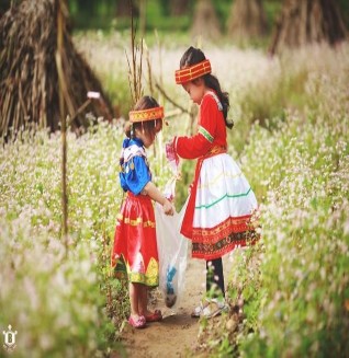 Xả rác tại cánh đồng hoa 4