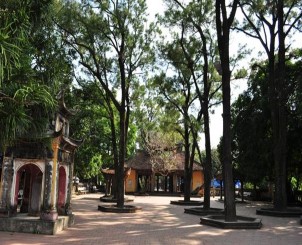 Hình 4 11 Cây Đại cổ thụ Hình 4 12 Cây Thông cổ thụ Việc đánh giá cây cổ 2