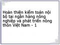 Hoàn thiện kiểm toán nội bộ tại ngân hàng nông nghiệp và phát triển nông thôn Việt Nam - 1
