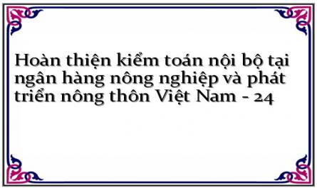Hoàn thiện kiểm toán nội bộ tại ngân hàng nông nghiệp và phát triển nông thôn Việt Nam - 24