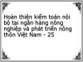 Hoàn thiện kiểm toán nội bộ tại ngân hàng nông nghiệp và phát triển nông thôn Việt Nam - 25