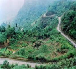 Đèo Lũng Lô Chè Cổ thụ Suối Giàng Cánh đồng Mường Lò Nghĩa Lộ Ruộng 1