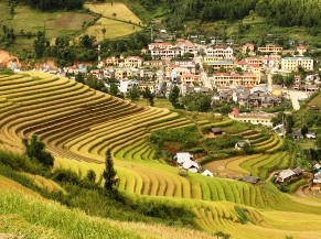 Thị trấn Mù Cang Chải Xôi ngũ sắc Nguồn Sách ảnh đất và người Yên Bái 11