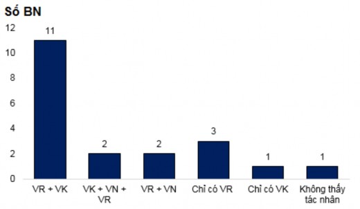 Ghi chú BN bệnh nhân VK Vi khuẩn VN Vi nấm VR virus Biểu đồ 3 12 Tổ hợp 2