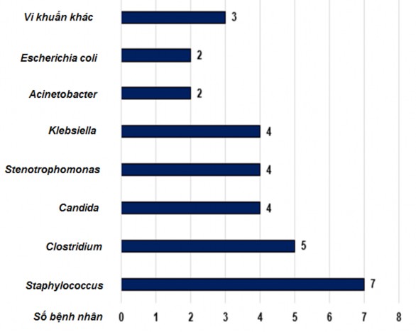 Biểu đồ 3 13 Đặc điểm các tác nhân nhiễm vi khuẩn vi nấm Nhận xét Các 3