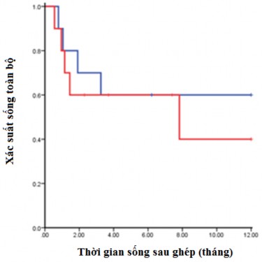 Hòa hợp HLA 5 6 và 6 6 n 10 60 0 ± 15 5 Log rank p 0 585 Hòa hợp HLA 4 6 n 10 40 0 ± 4