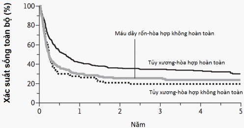 Biểu đồ 1 3 Kết quả ghép tế bào gốc tạo máu điều trị lơ xê mi cấp tại 2