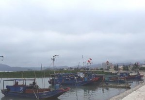 Ảnh 6 Diện tích đất canh tác trồng lúa xã Quan Lạn Ảnh 7 Tàu khai thác thủy 4