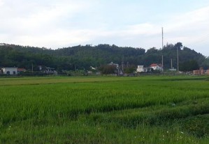 Chưa được thu gom tại bãi Sơn Hào và khu dân cư thôn Sơn Hào xã Quan Lạn 7