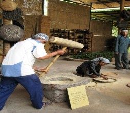 Cảnh giã gạo Khu du lịch Một thoáng Việt Nam Vườn cây ăn trái Trung An Vườn 7