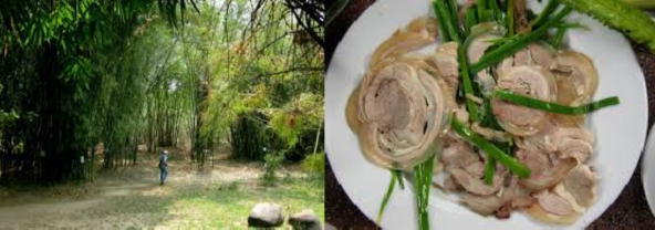 Vườn tre Đặc sản Bò tơ Khu du lịch sinh thái Bình Mỹ Mô hình cánh đồng thu 9