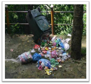 Nguồn Tác giả khảo sát 2014 Ảnh 9 Phỏng vấn du khách Ảnh 10 Các ấn phẩm 6