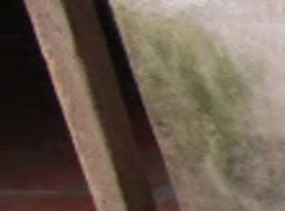 Nghề làm bánh tráng Cầu Mỹ Thuận trên sông Tiền 10