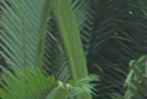 Tát ao bắt cá Du khách tham quan cảnh sông Du khách tham quan cơ sở làm kẹo Xe 5