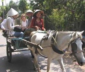 Du khách tham quan cơ sở làm kẹo Xe Ngựa đưa khách vào Thới Một góc chợ nổi 7