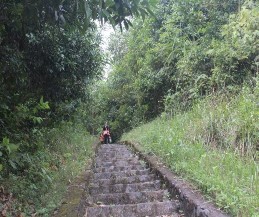 Hình 10 Lối vào rừng Khuôn Mánh 4 Di chỉ khảo cổ học Thần Sa Nguồn ảnh 10