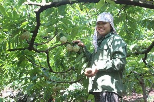 Hình 14 Na La Hiên Hình 15 Đậu phụ Bình Long 16