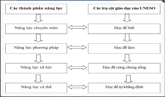 Hình 1 2 Mô hình các thành phần năng lực phù hợp với 4 trụ cột theo UNESCO Theo 1