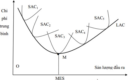 Nguồn Farrell 1957 Khi ngân hàng sử dụng nhiều hơn hai đơn vị đầu vào x1 2