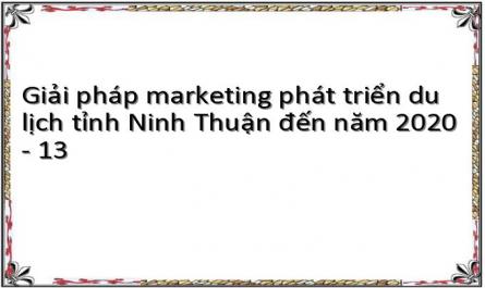 Giải pháp marketing phát triển du lịch tỉnh Ninh Thuận đến năm 2020 - 13