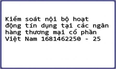 Kiểm soát nội bộ hoạt động tín dụng tại các ngân hàng thương mại cổ phần Việt Nam 1681462250 - 25