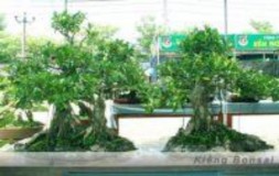 Du thuyền trên sông Hoa kiểng Chợ Lách Sầu riêng Cái Mơn Thủ công mỹ nghệ từ 82