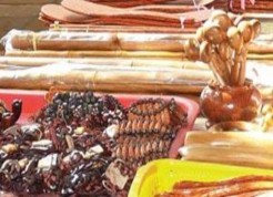 Sầu riêng Cái Mơn Thủ công mỹ nghệ từ cây dừa Cây dừa Bến Tre Khu tưởng 84