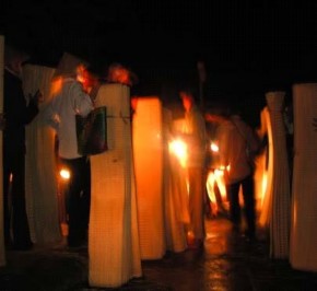 Vườn cò Tháp Mười Chợ chiếu Định An 23