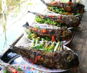 Mật ong – Tràm Chim Cá lóc nướng trui Hoa kiểng – Sađéc Sen – Tháp Mười Du 8