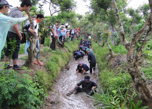 Nguồn Trung tâm Thông tin xúc tiến du lịch Bến Tre 3