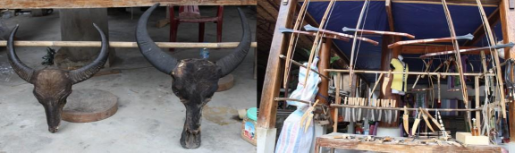 Ảnh 20 Tiêu bản đầu trâu cung nỏ dao găm kiếm được bán tại bản Lác xã 15