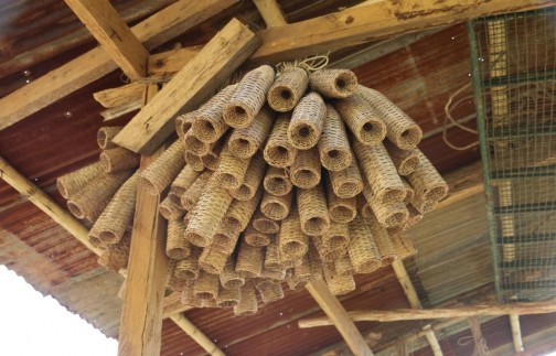 2 14 Dụng cụ bắt tôm của người Thái Nguồn Tác giả chụp tại bản Bon 4