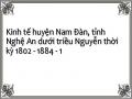 Kinh tế huyện Nam Đàn, tỉnh Nghệ An dưới triều Nguyễn thời kỳ 1802 - 1884 - 1