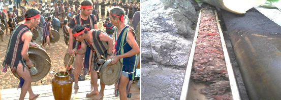 Ảnh 12 Ẩm thực Kon Tum Gỏi lá xôi măng thịt nướng lồ ô rượu cần Ảnh 8