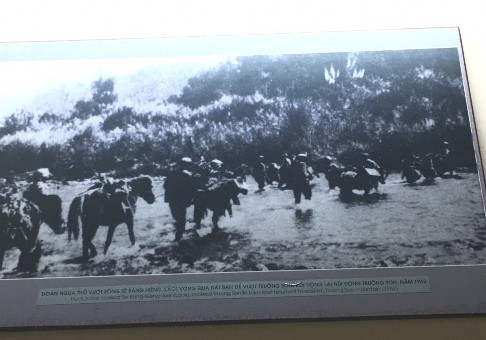 Hình 2 8 Ngựa gùi hàng Nguồn Chụp tại bảo tàng đường Hồ Chí Minh Hà 2