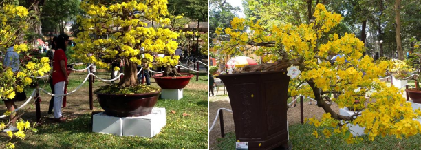 Hình 4 5 Khu trưng bày sản phẩm Khu vườn thực nghiệm để du khách có thể 3