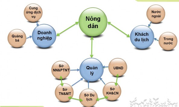 4 4 ĐỀ XUẤT CÁC TOUR DU LỊCH SINH THÁI TẠI LÀNG NGHỀ HOA KIỂNG THỦ ĐỨC Xây 7